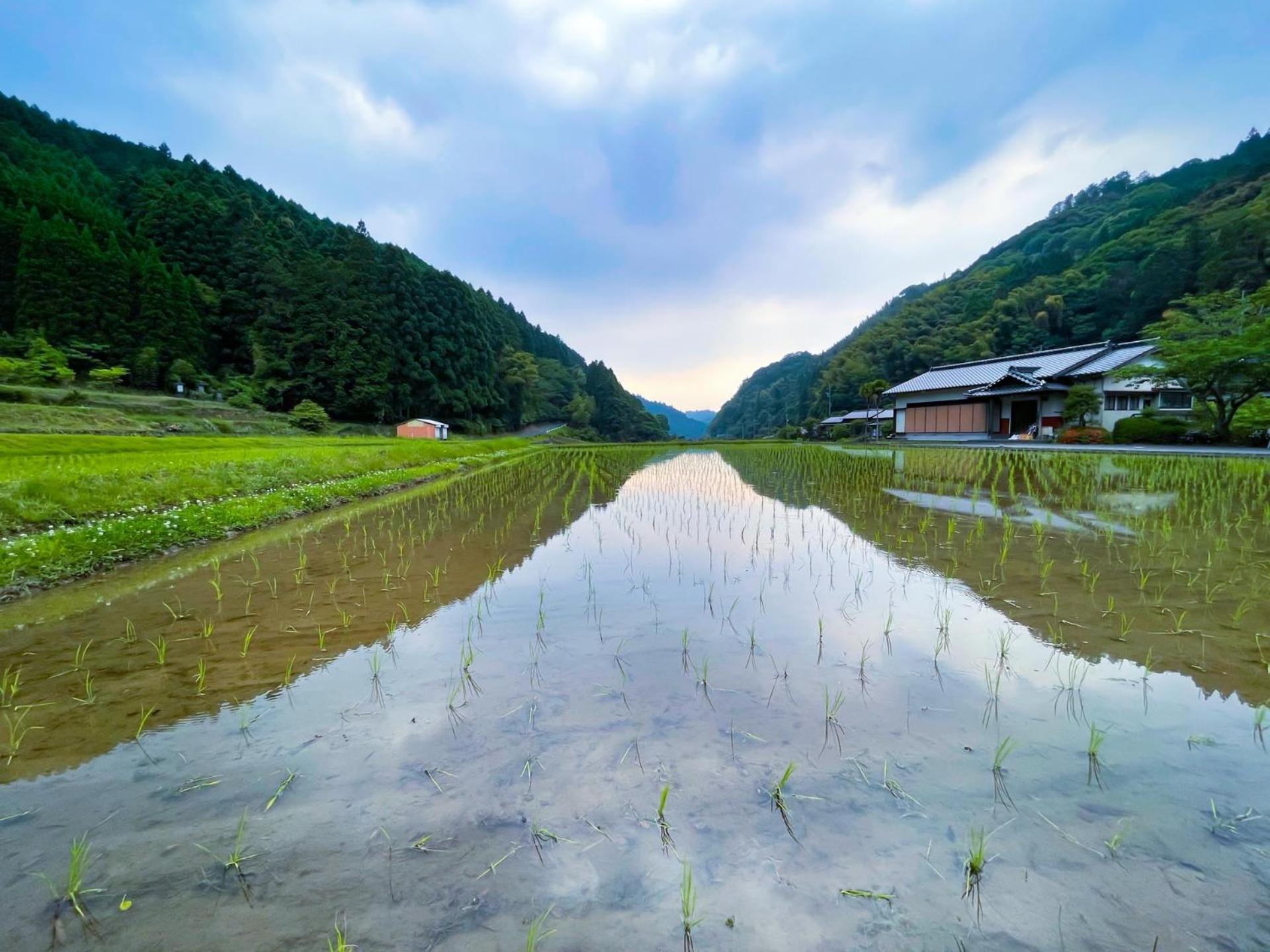 Ukiha Kojio No Akari Villa Luaran gambar